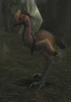 Foreststrider