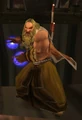 Winterskorn Rune-Seer.jpg