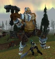 Winterskorn Defender.jpg
