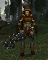 Winterskorn Hunter