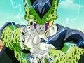 CellPerfectKameNV