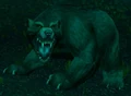 Great Bear Spirit.jpg