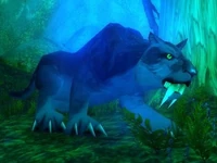 Image of Great Cat Spirit