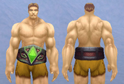 Belt of Omission