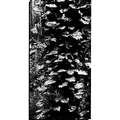 Aldebaran surface.jpg