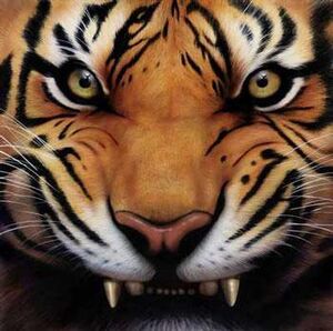 Tiger Growl