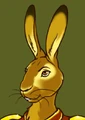Adaerna the Hare.jpg