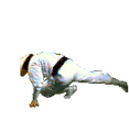 Wadaw