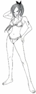 Erza Iron Bikini