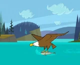 Eagle