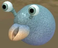 Ayug.png