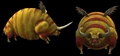 Bull Spore