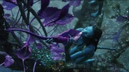 Neytiri Drinking