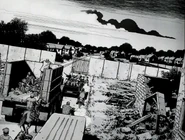 Survivors entering safe zone for first time