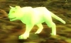 Winna's Kitten