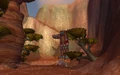 Highperch2.jpg