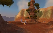 Highperch3