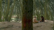 6x15-BloodyTree.JPG