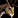 IconSmall Caribou.gif