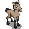Mustang Foal-icon.png