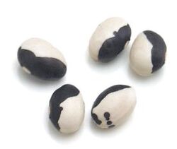 Calypso beans