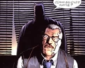 Commissioner Wayne 01
