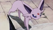 P05 Espeon