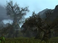 BLCataLandscape.jpg