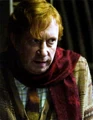 Arthur Weasley HBP.JPG