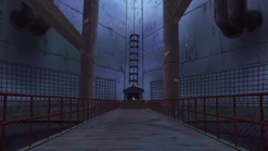 Root chambers