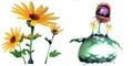 Chrysanthemums.jpg