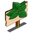 Basil