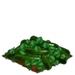 Cucumber extra100