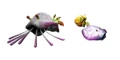 Molluskings.jpg