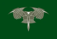 RSE flag