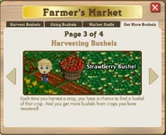 FMarket15