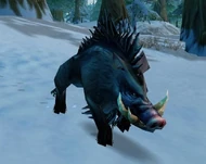 Large Crag Boar.jpg
