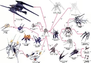 Tr-6 woundwort-chart