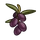 Olives-icon