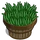 Aloe Vera Bushel-icon