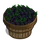 Blackberry Bushel-icon