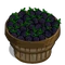Blackberry Bushel-icon