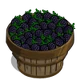 Blackberry Bushel-icon
