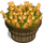 Corn Bushel-icon