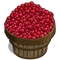 Cranberry Bushel-icon