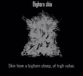 Animals Bighorn Skin.jpg