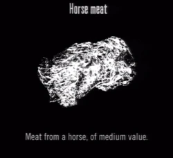 Animals Horse Meat
