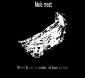 Animals Mule Meat