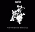 Animals Mule Hide.jpg