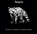 Animals Raccoon Fur.jpg